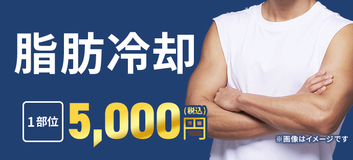 脂肪冷却5,000円