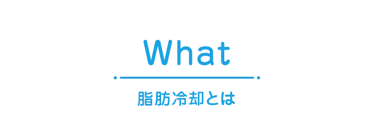 脂肪冷却とは
