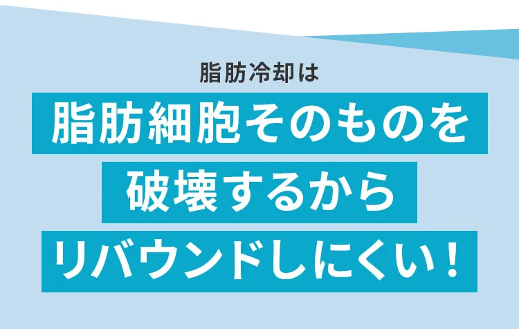リバウンドしにくい！