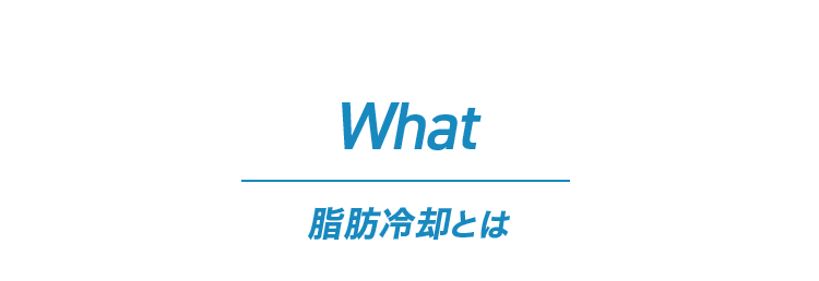 脂肪冷却とは