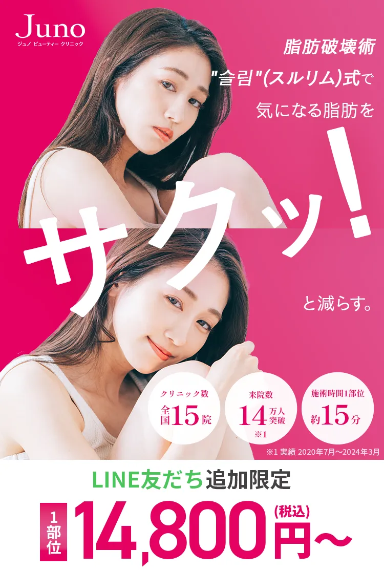 脂肪破壊術'슬림'(スルリム)式で気になる脂肪をサクッ！と減らす LINE友だち追加限定1部位