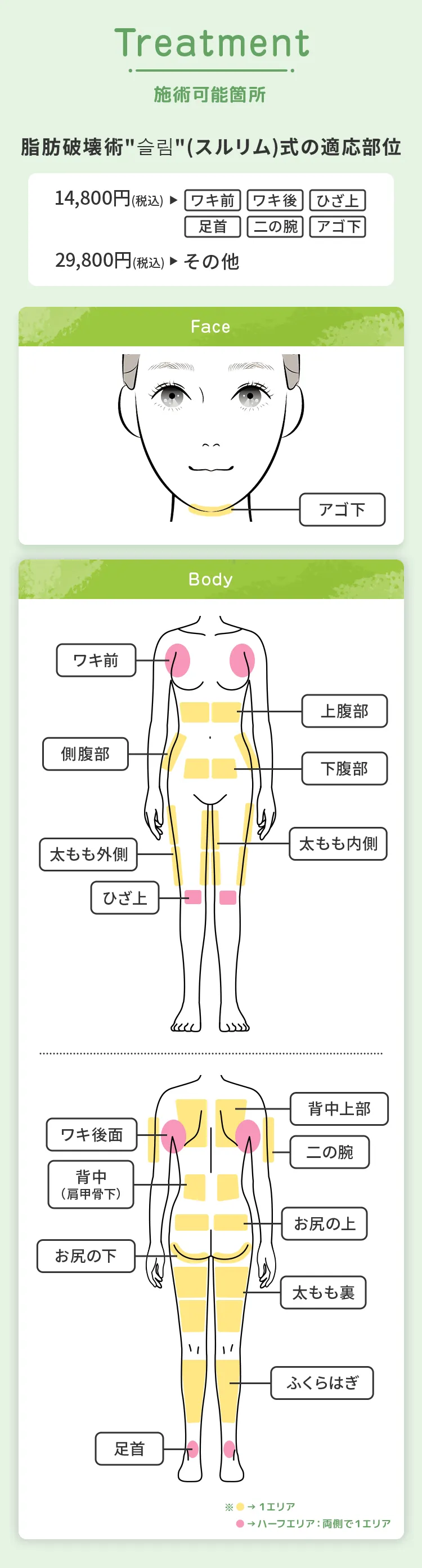 施術可能箇所