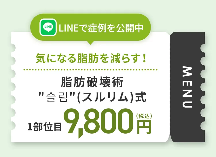 脂肪破壊術'슬림'(スルリム)式で気になる脂肪をサクッ！と減らす
