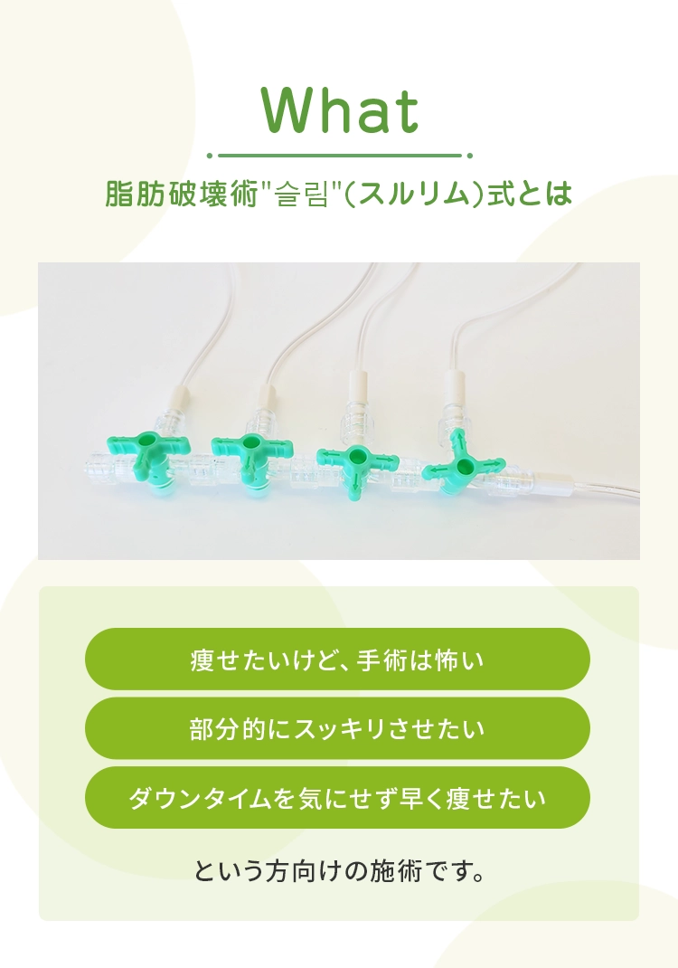 脂肪破壊術'슬림'(スルリム)式とは