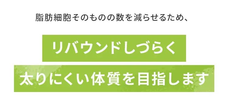 リバウンドしづらく太りにくい体質を目指します