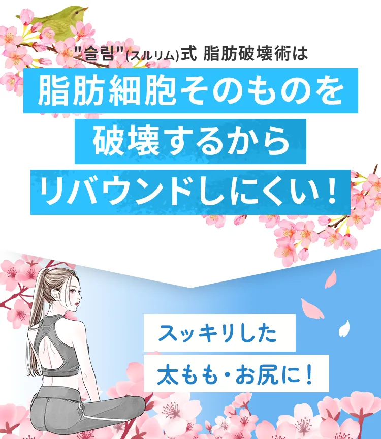 スッキリとした太もも・お尻に！