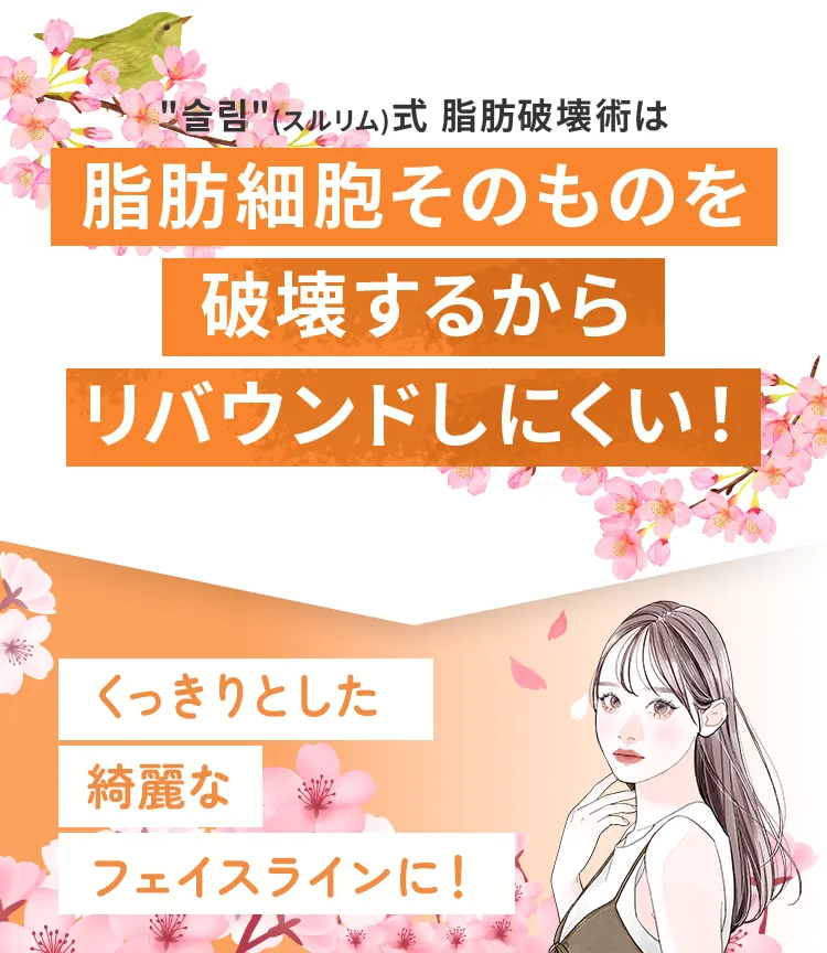 くっきりとした綺麗なフェイスラインに！