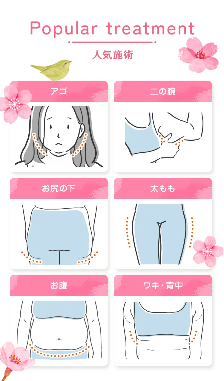 人気施術