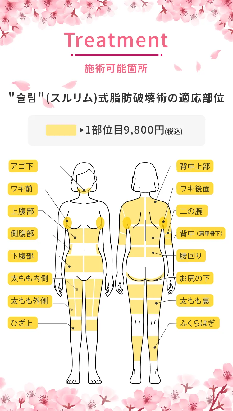 施術可能箇所
