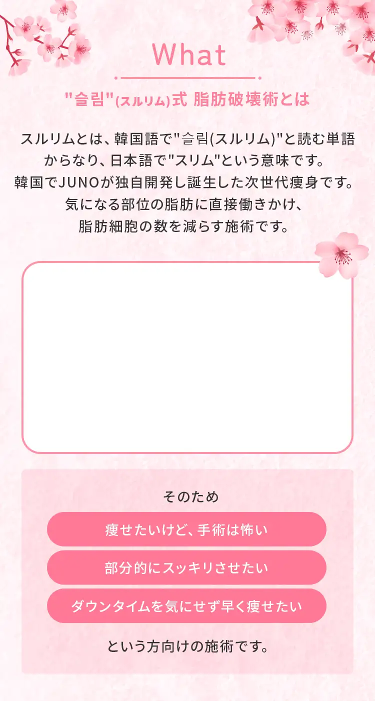 ＂スルリム（슬림）＂式 脂肪破壊術とは