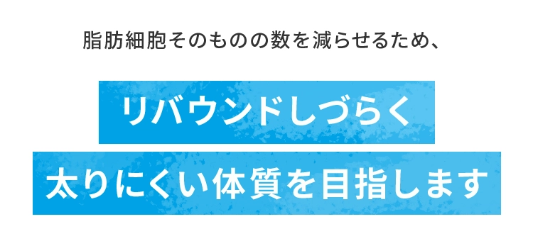 リバウンドしづらく太りにくい体質を目指します