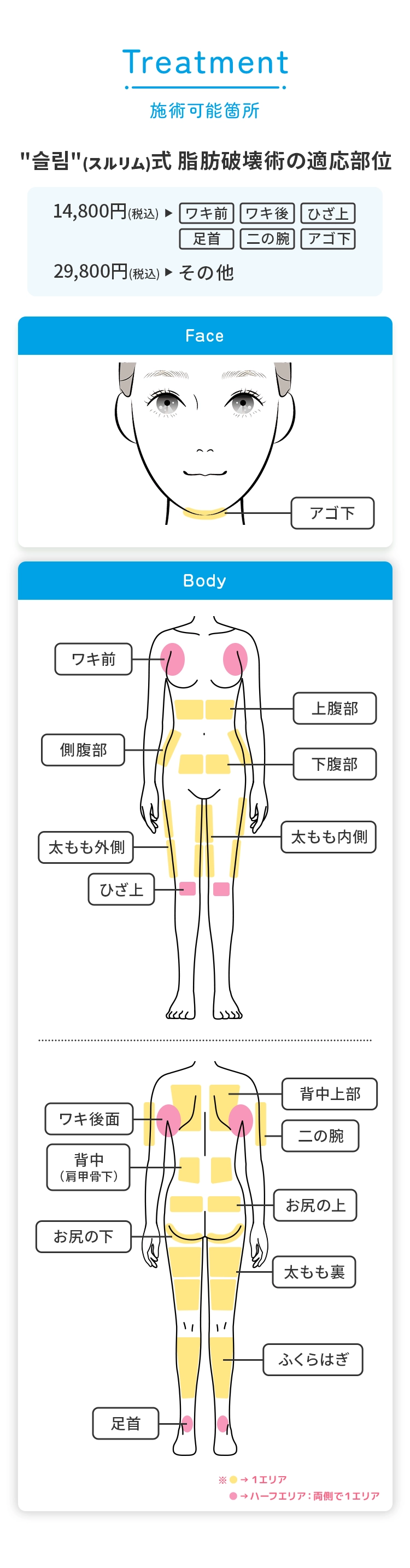 施術可能箇所