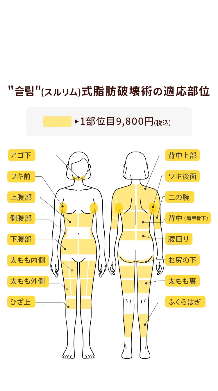 施術可能箇所