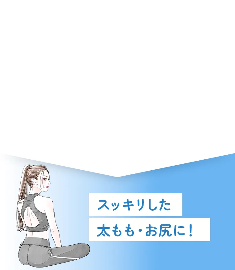 スッキリとした太もも・お尻に！