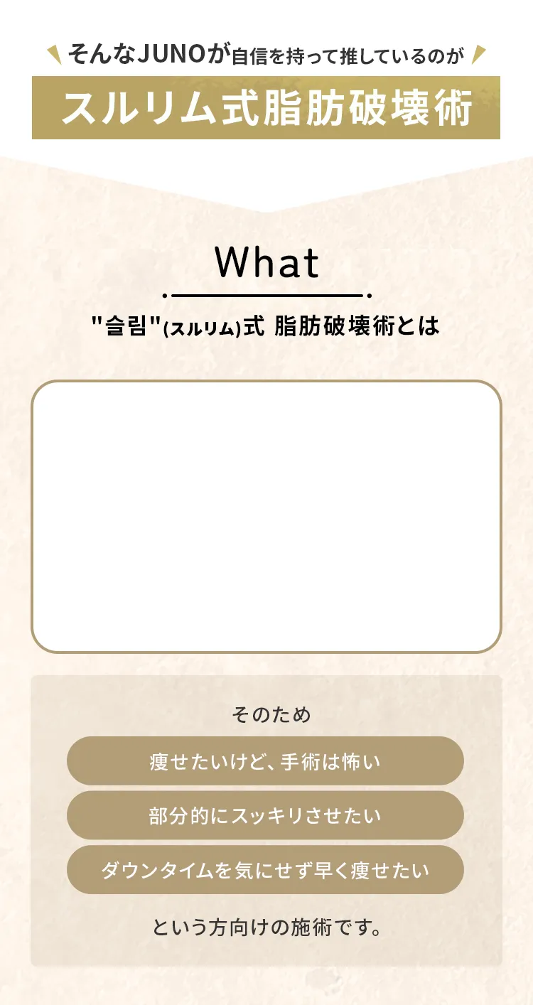 ＂슬림＂（スルリム）式 脂肪破壊術とは