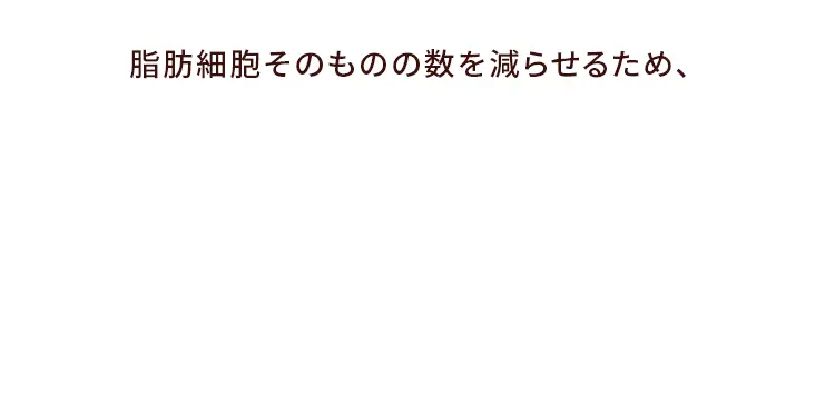 リバウンドしづらく太りにくい体質を目指します