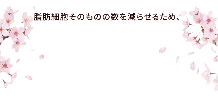 リバウンドしづらく太りにくい体質を目指します