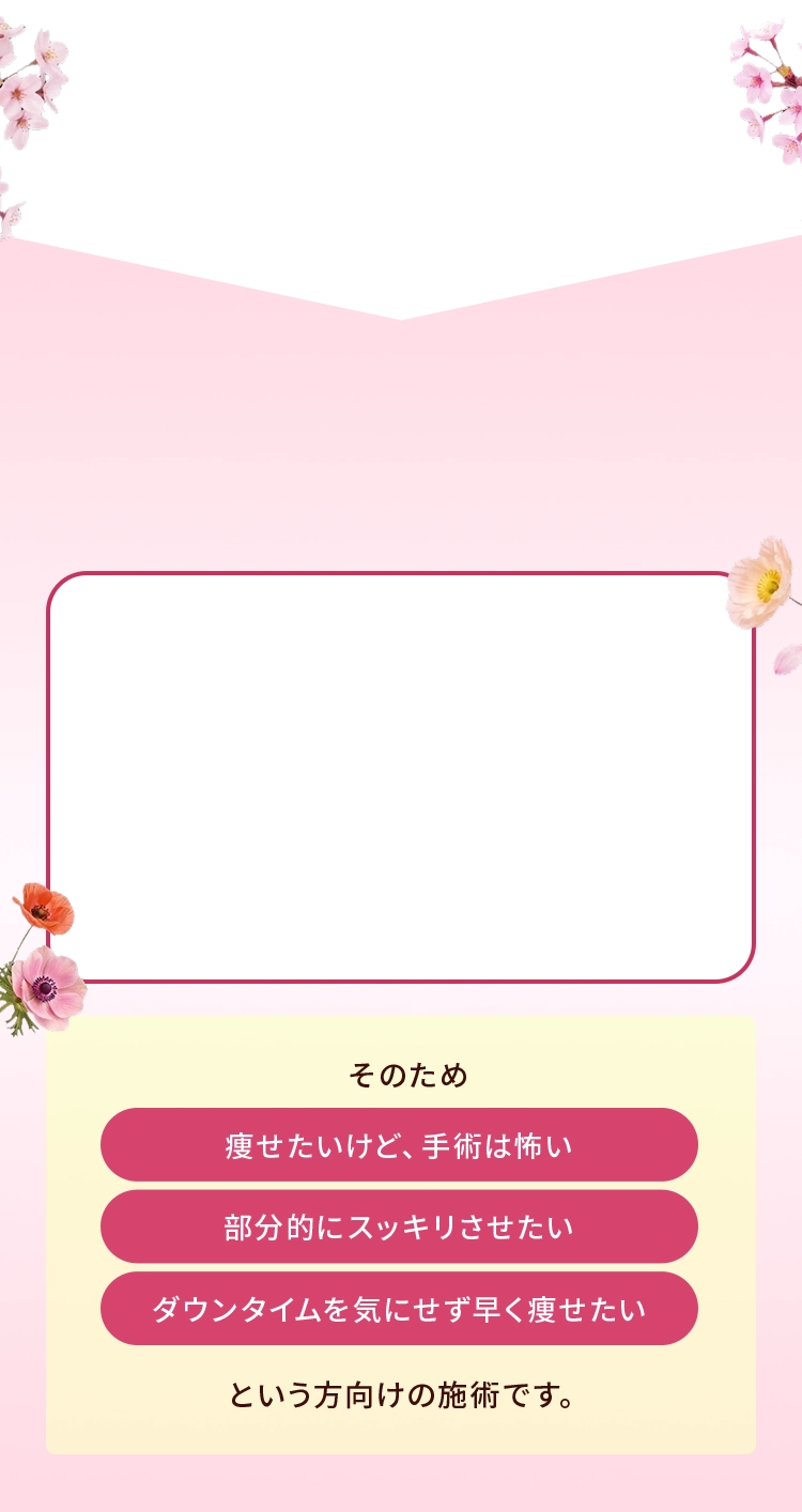 ＂슬림＂（スルリム）式 脂肪破壊術とは