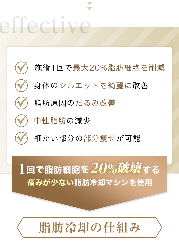 脂肪冷却の効果