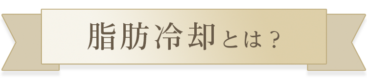 脂肪冷却とは？