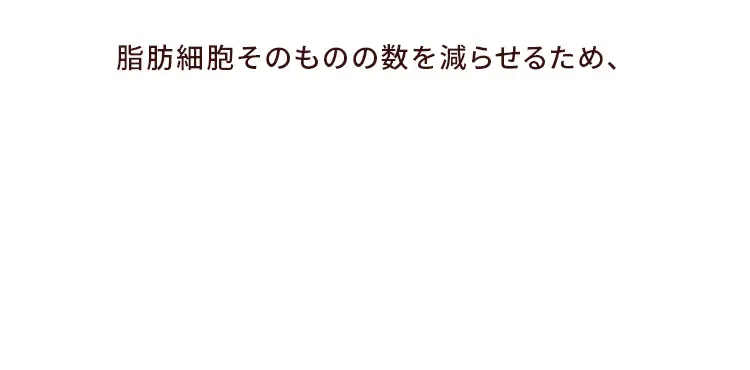 リバウンドしづらく太りにくい体質を目指します