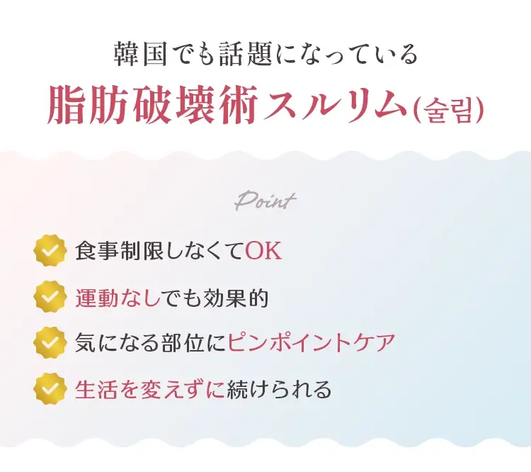 韓国でも話題になっている脂肪破壊術スルリム（슬림）