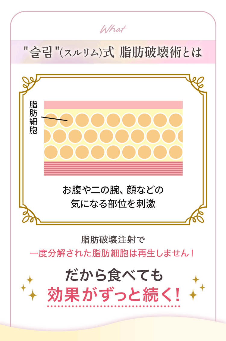 スルリム（슬림）脂肪破壊術とは