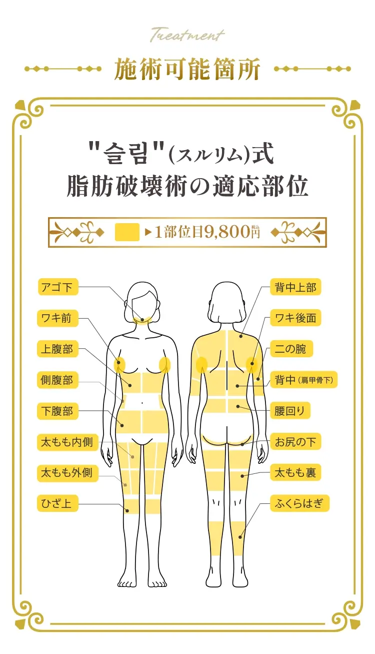 施術可能箇所
