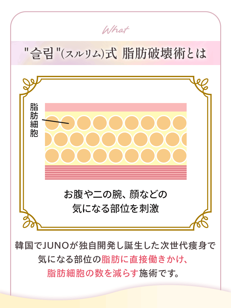 スルリム（슬림）脂肪破壊術とは