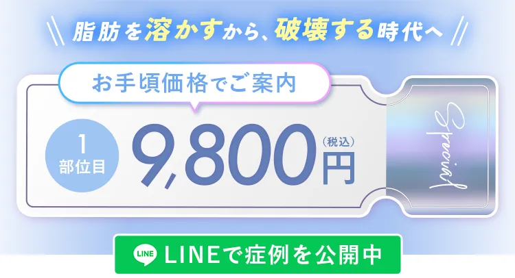 お手頃価格でご案内1部位目9,800円（税込）