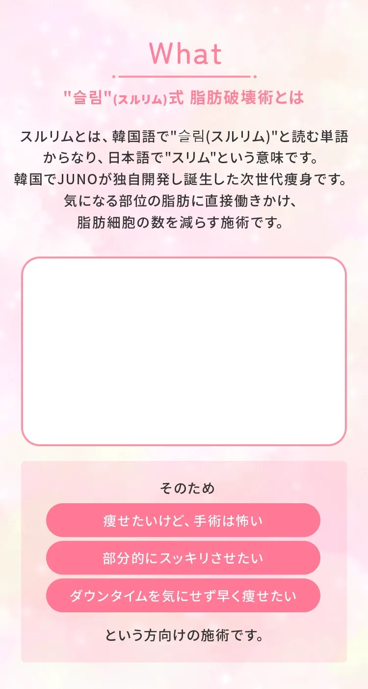 ＂スルリム（슬림）＂式 脂肪破壊術とは