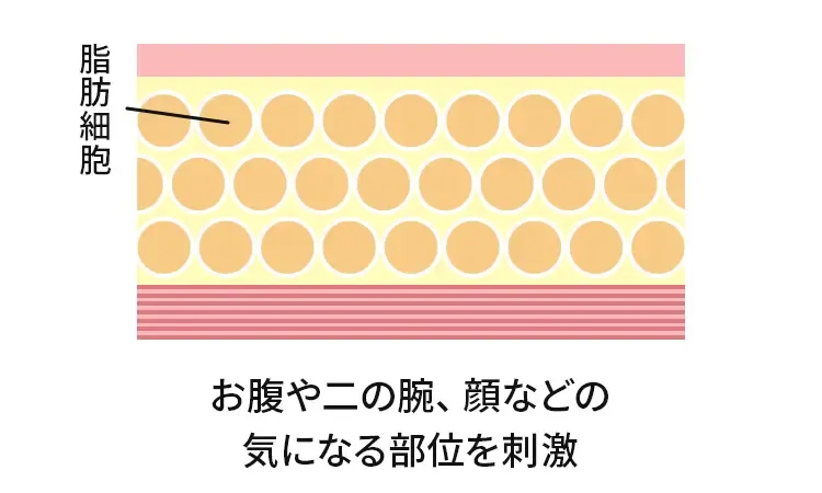 お腹や二の腕、顔などの気になる部位を刺激