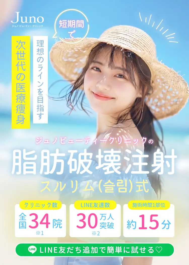 ＂슬림＂（スルリム）式 脂肪破壊術で気になる脂肪をサクッ！と減らす
