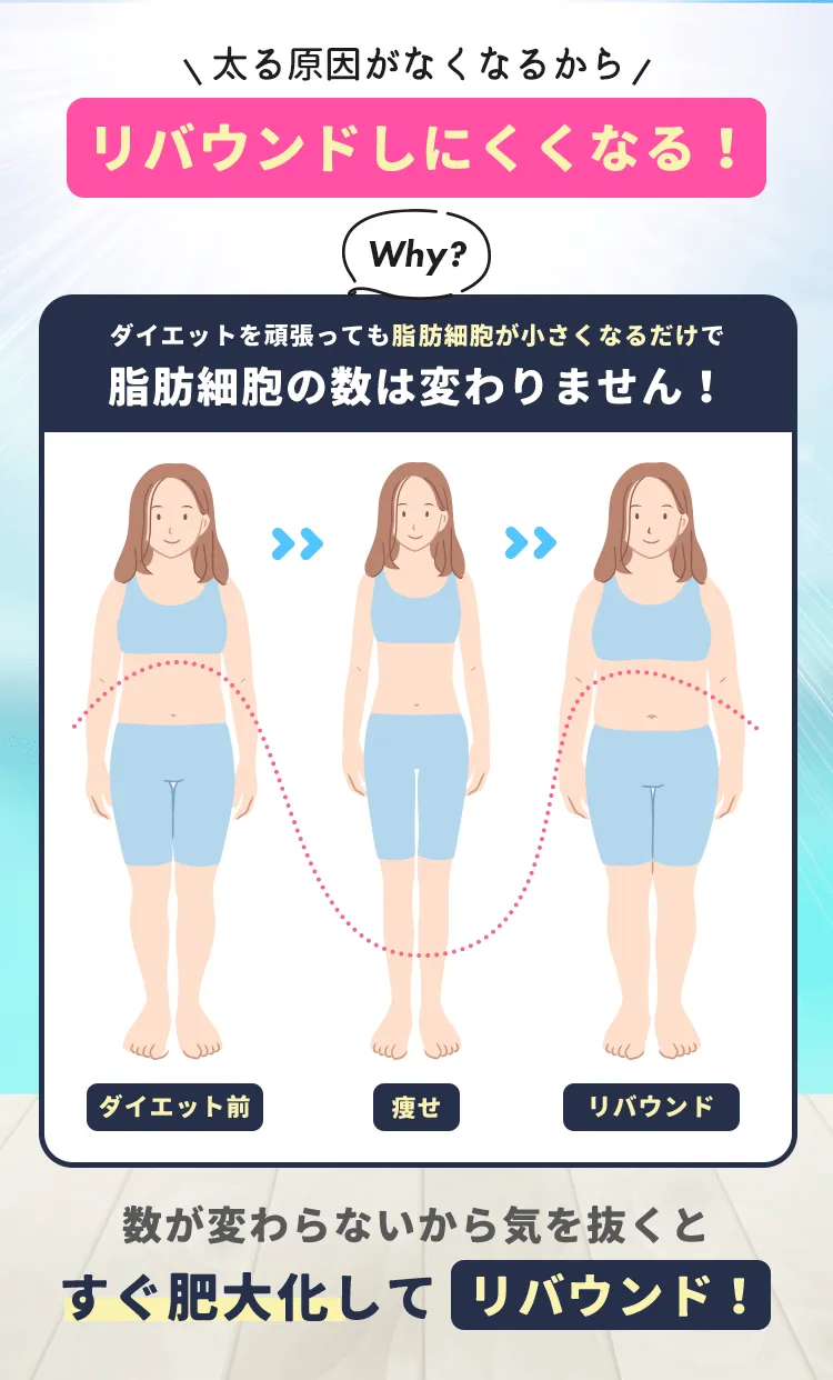 太る原因がなくなるからリバウンドしにくくなる！